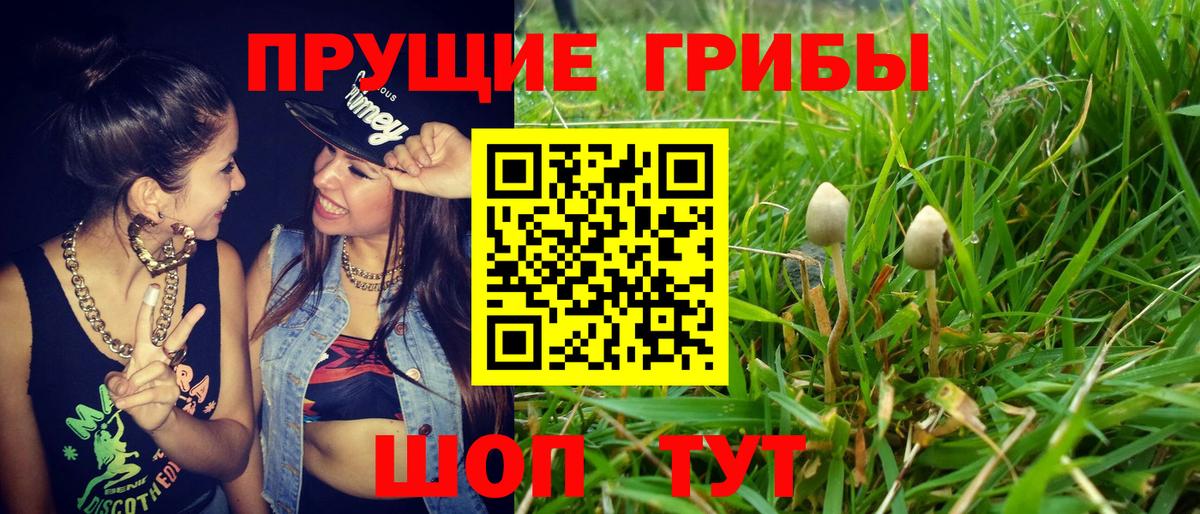 Галлюциногенные грибы GOLDEN TEACHER Нововоронеж